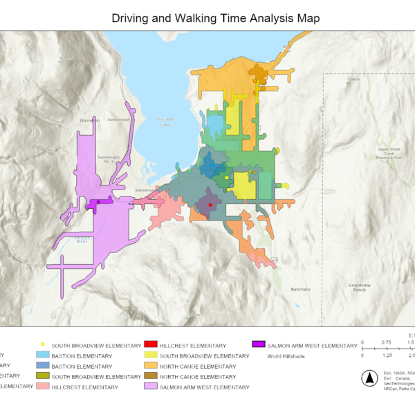 Driving and Walking Time Analysis Map