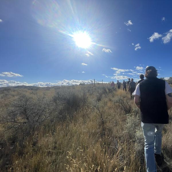 students moving through a grassland towards the sun