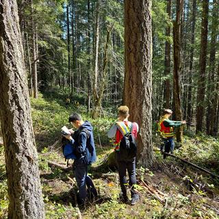 three students in the forest on a sunny day taking notes and using a compass