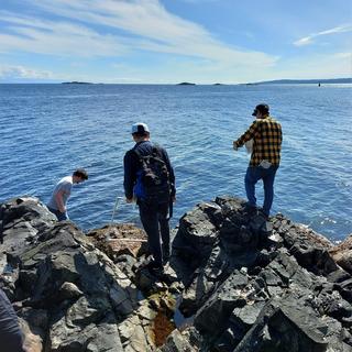Three students looking in tidepools on a rocky shore on a calm sunny day. 