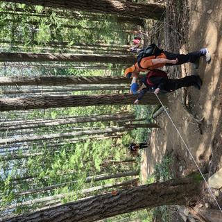 students on a trail in the woods surveying with tapes and compasses on a sunny day