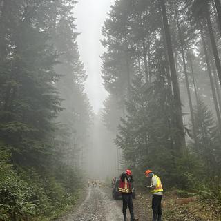 students in high vis standing on a gravel road in a misty forest