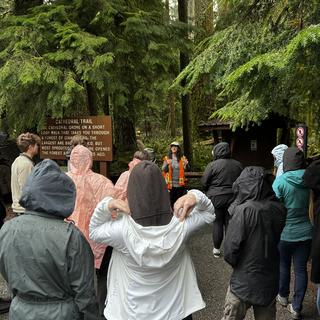 woman in high vis speaking to a group in front of the sign for cathedral grove in the forest