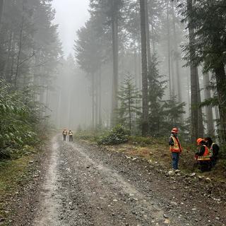 students in high vis standing in a misty forest
