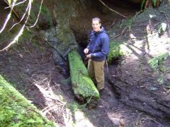 Chapdelaine