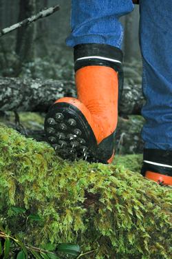 person wearing caulk boot stepping onto a moss-covered log