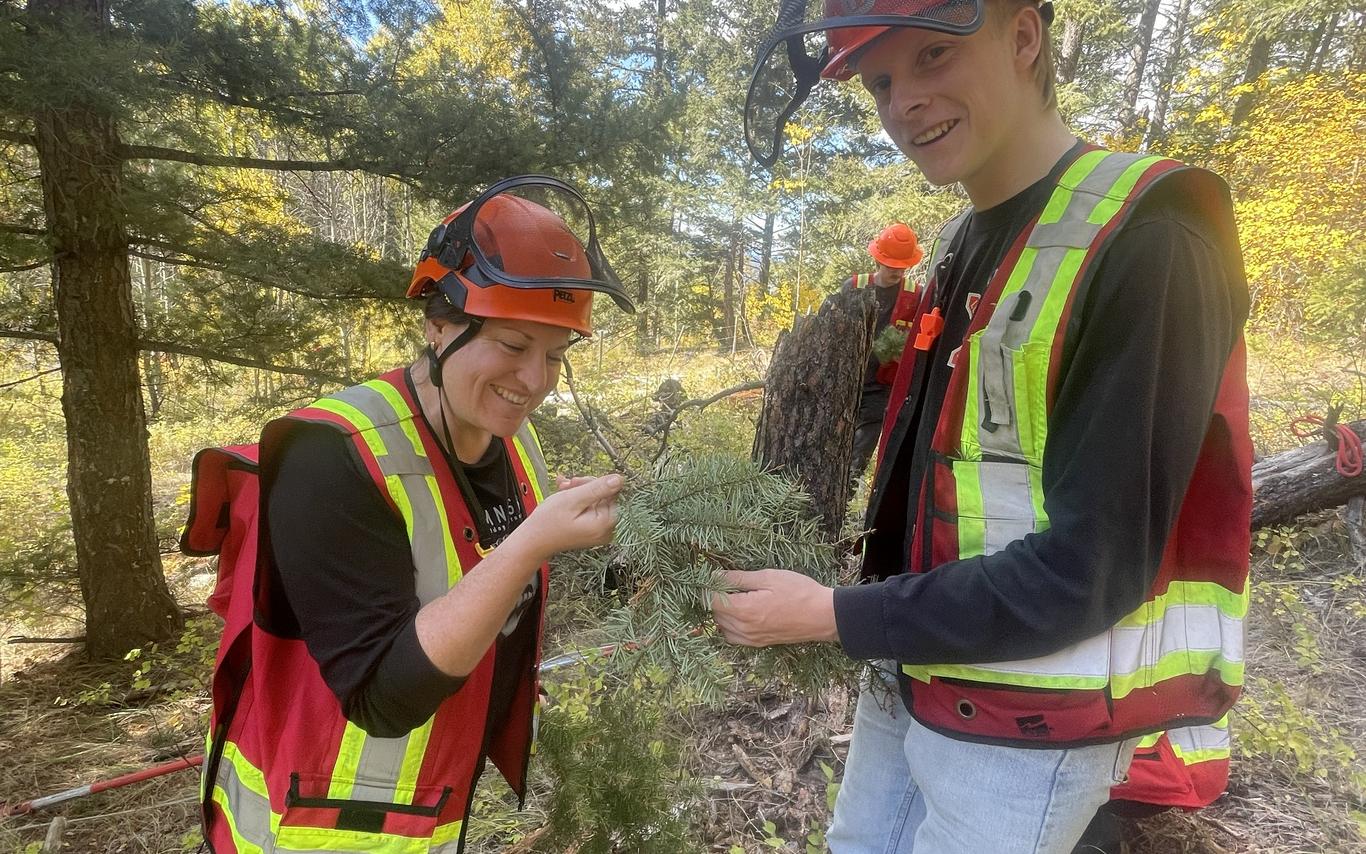 smiling woman and man in high vis looking at tree foliage in the forest