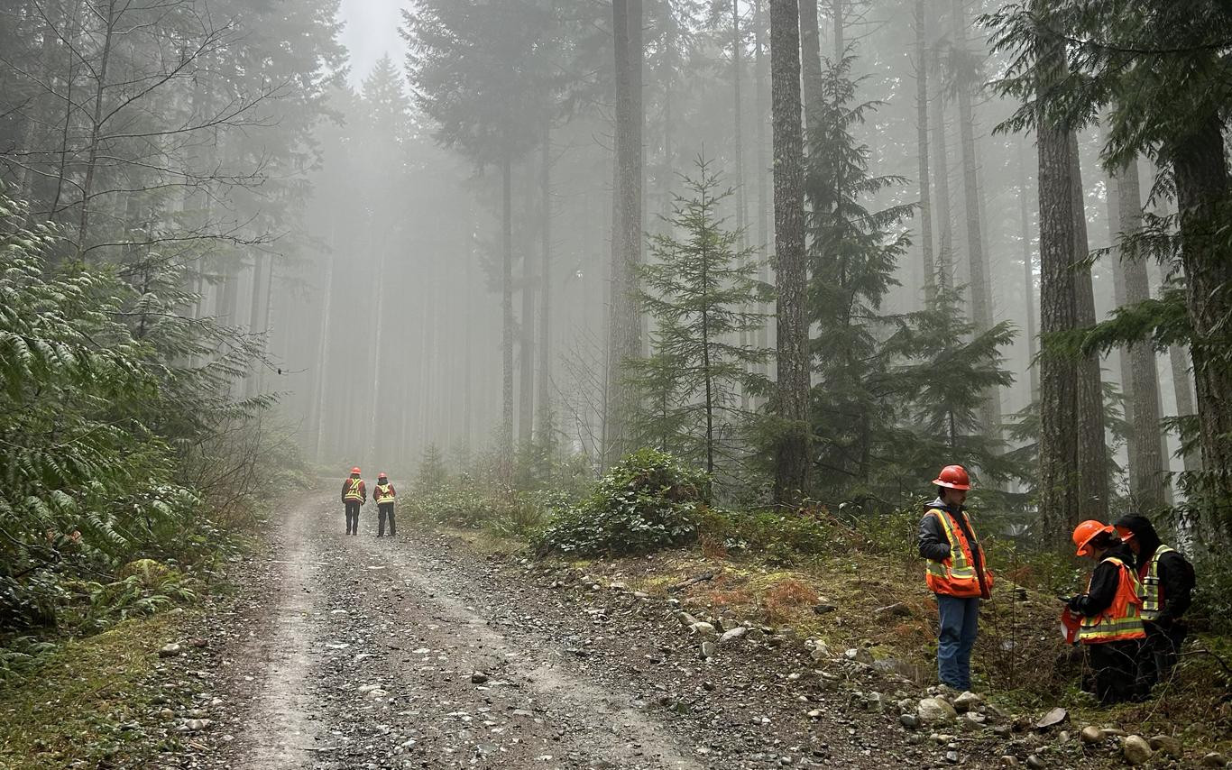 students in high vis standing in a misty forest