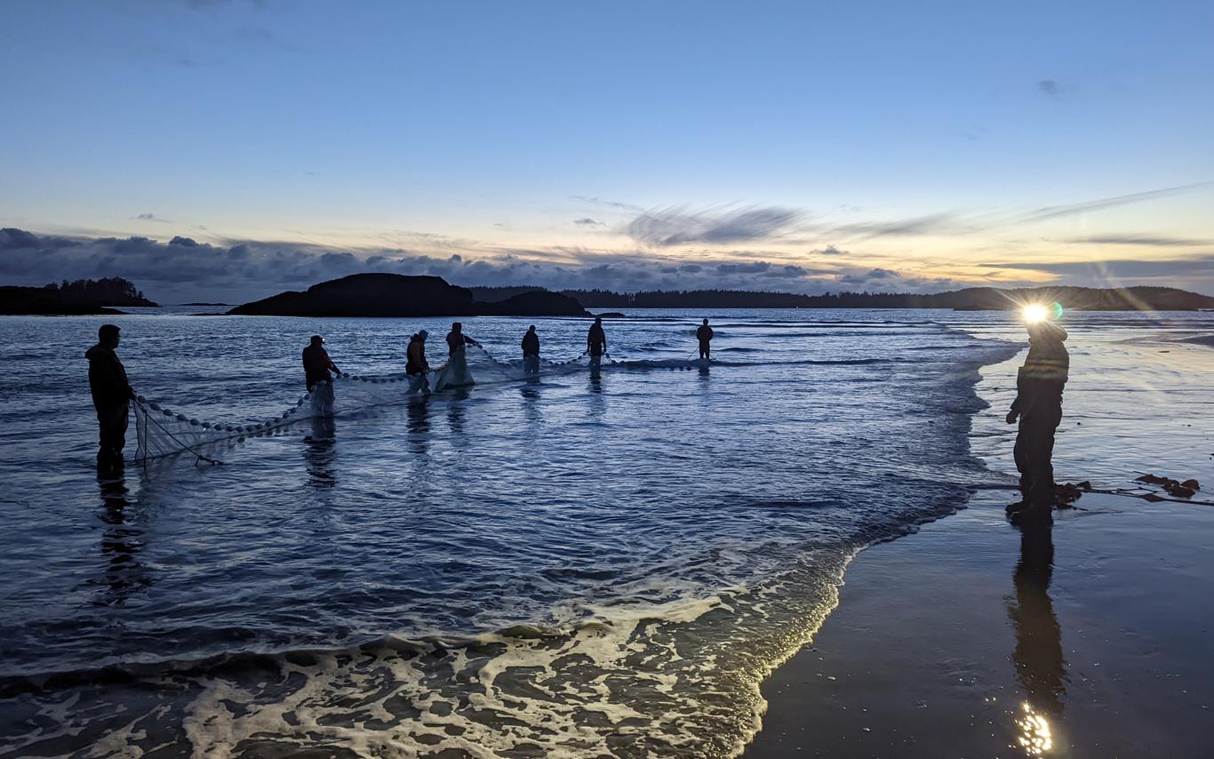 Beach seine